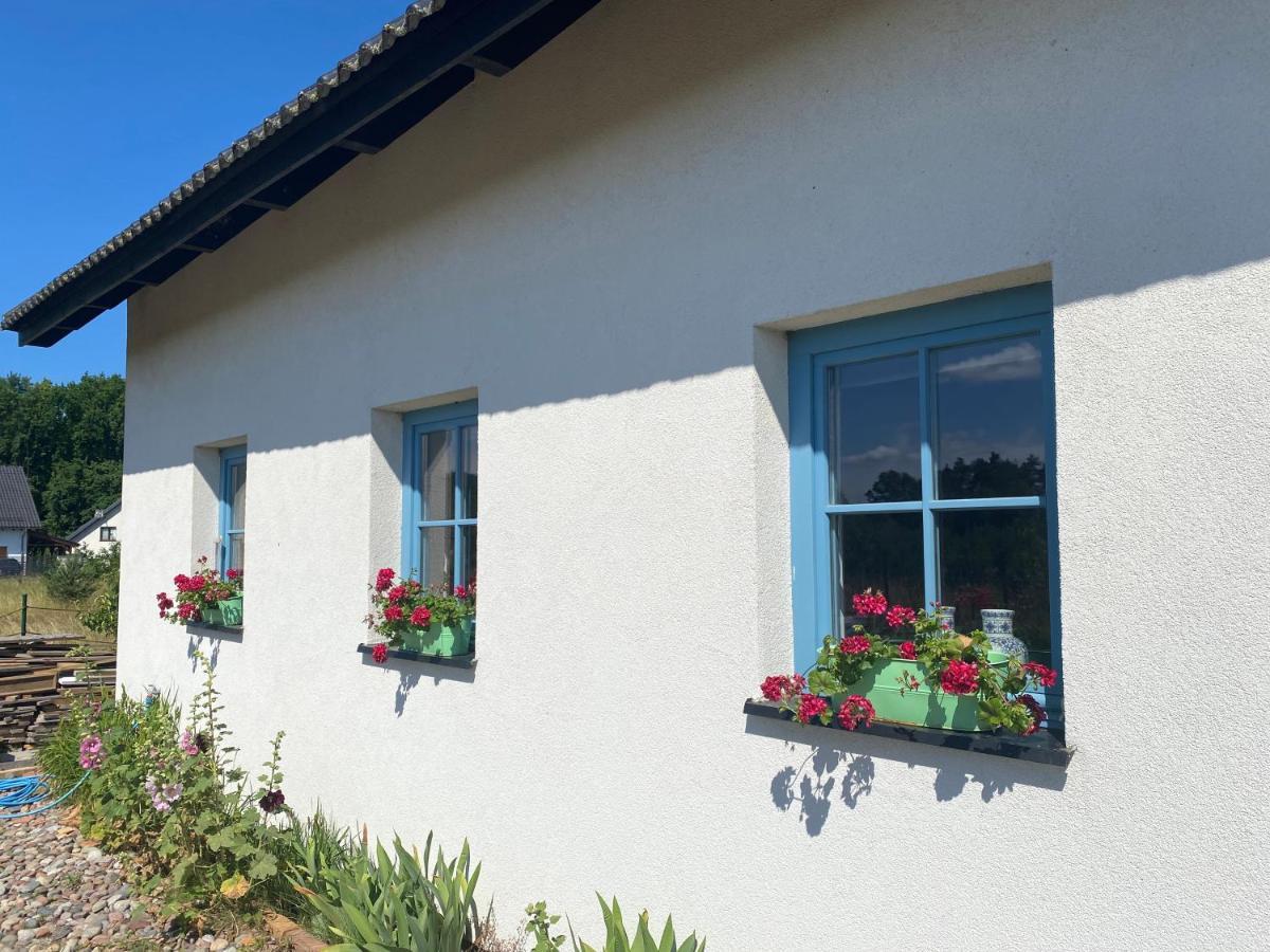 Dom Na Szumiacych Drzew Villa Debina  Exterior foto